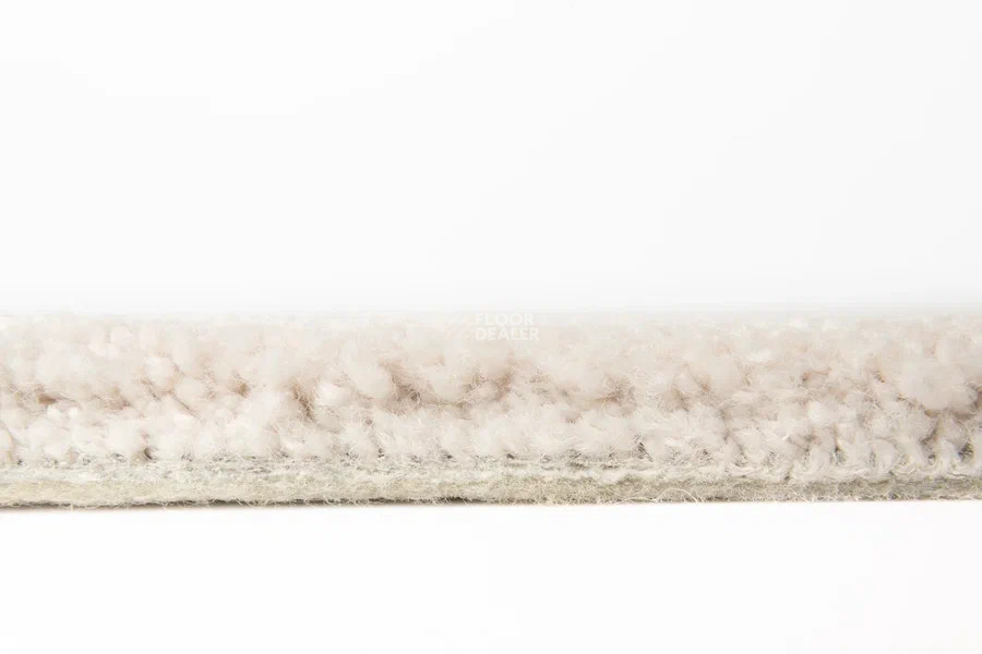 Vorwerk Superior 1067 Mira Vorwerk 8k10 фото 3 | FLOORDEALER